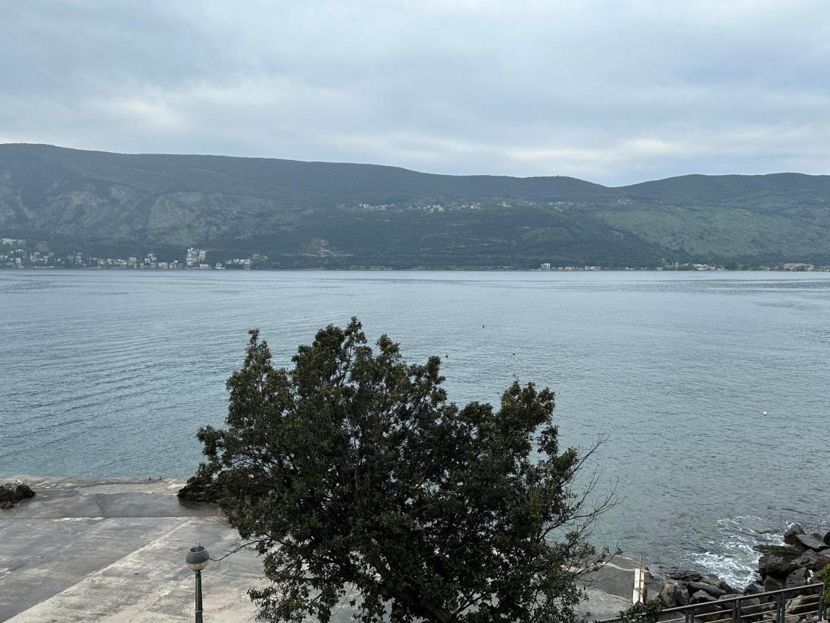 Apartament Sea ​​Pearl Herceg Novi Zewnętrze zdjęcie