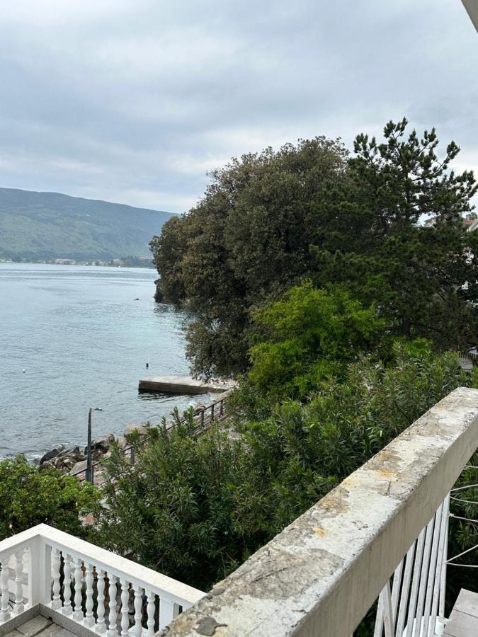 Apartament Sea ​​Pearl Herceg Novi Zewnętrze zdjęcie