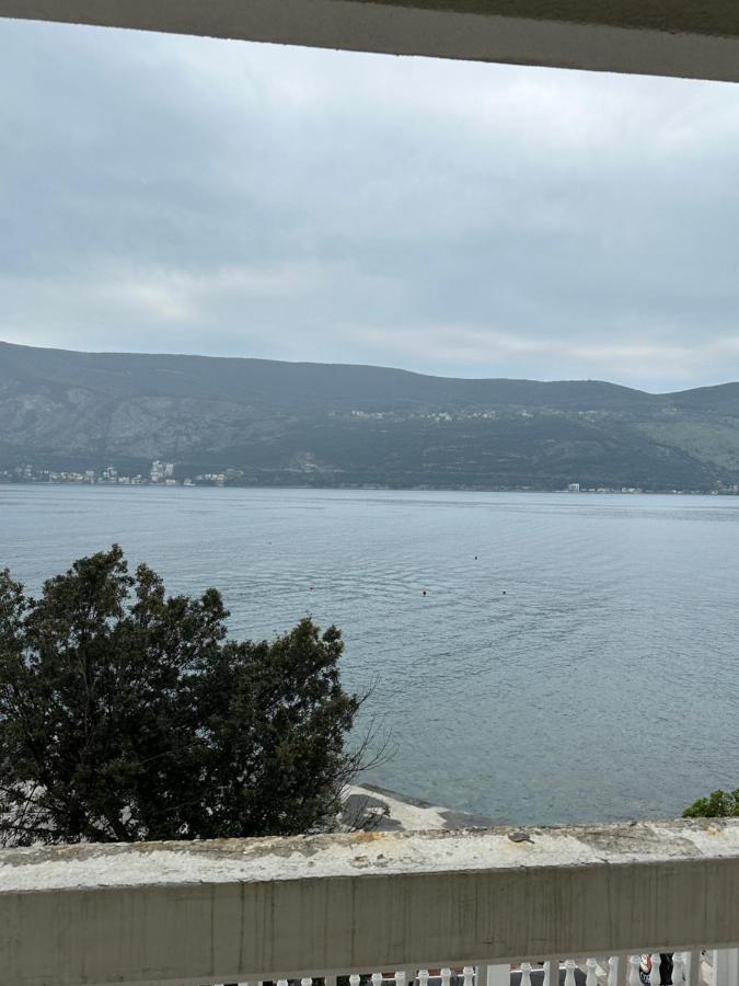 Apartament Sea ​​Pearl Herceg Novi Zewnętrze zdjęcie