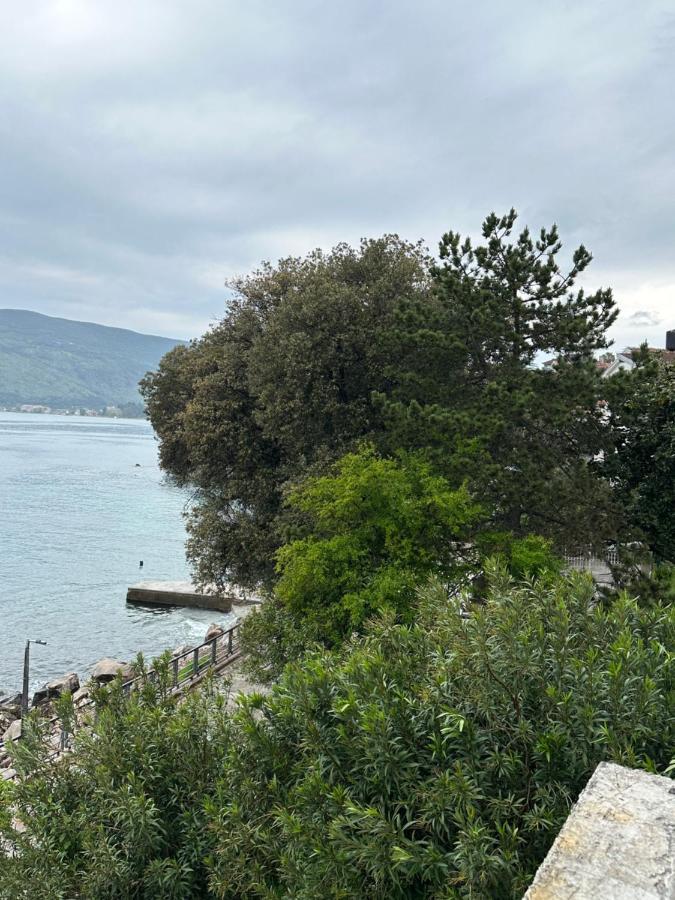 Apartament Sea ​​Pearl Herceg Novi Zewnętrze zdjęcie