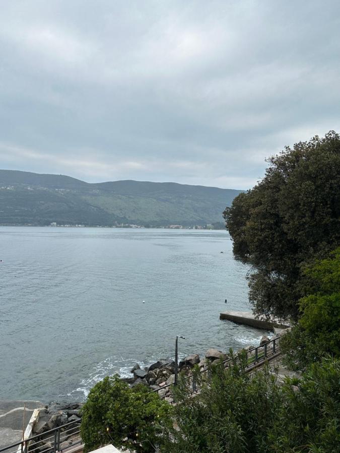 Apartament Sea ​​Pearl Herceg Novi Zewnętrze zdjęcie